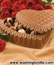 light or dark chocolate box of DeBrand chocolatier's truffles