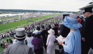 The Royal Ascot Races