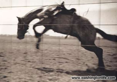 Renee Robinson and Shaista Mahmood