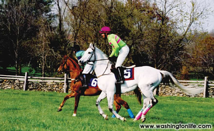 The Middleburg Spring Races