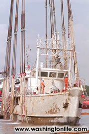 Jacques Cousteau’s ship “Calypso”