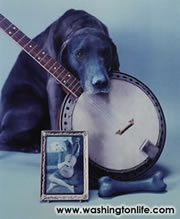 PICTURING THE BANJO