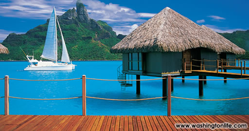 South Pacific Paradise