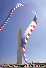 41st Annual Smithsonian Kite Festival