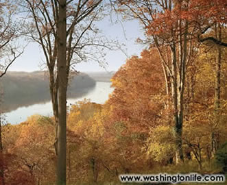180-degree view of the Potomac River at Little Falls from 6699 MacArthur Blvd. in Bethesda