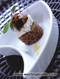 ASTER IN MIDDLEBURG VA