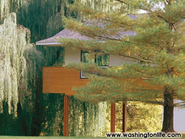 The master bedroom suite is encircled in a lush canopy