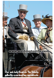 Don and Judy Rosato in The Rokeby,pulled by cross-bred bay warmbloods.