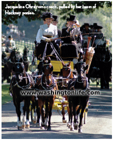 Jacqueline Ohrstrom’s coach, pulled by her team of Hackney ponies.