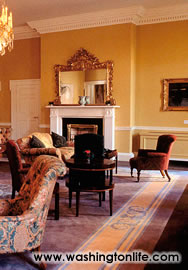 The trendy Temple bar district