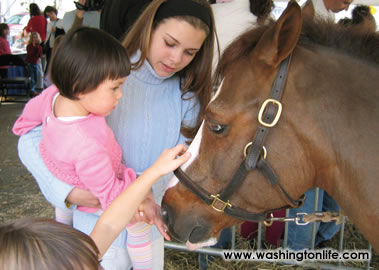 WIHS BRINGS THE COUNTRY TO THE CITY