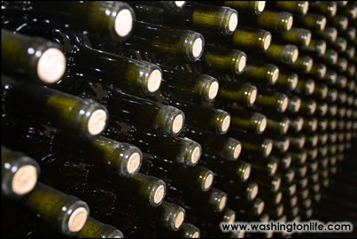 Sam Schreiber, Tom Davis and Ellen Schreiber