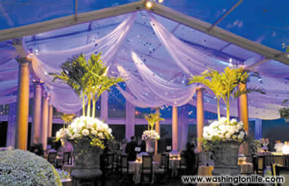 An enchanting decor set the mood